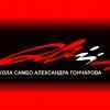 Thumbnail of related posts 141