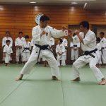 Thumbnail of post image 065