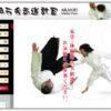 Thumbnail of related posts 028