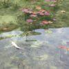 Thumbnail of related posts 021